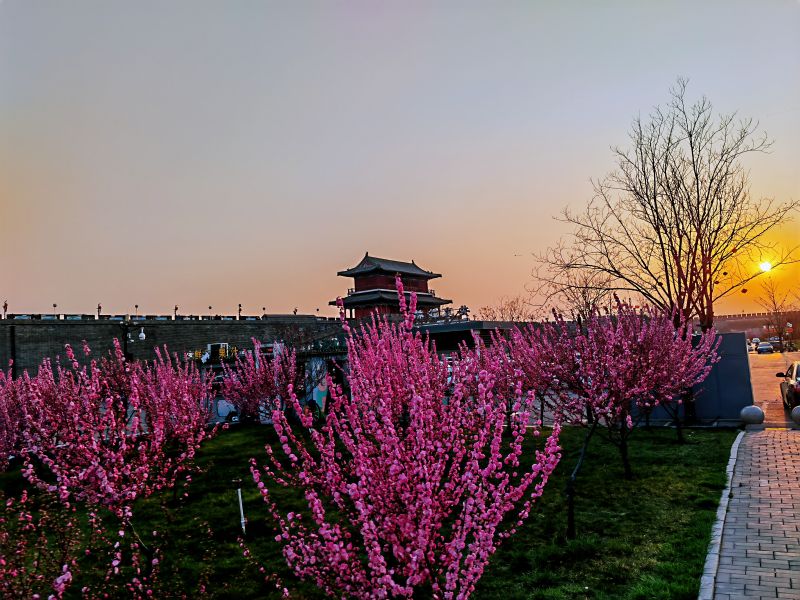 杜經(jīng)緯-清明